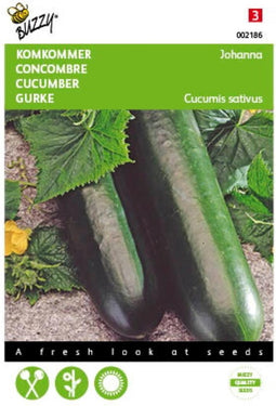 2 stuks - Buzzy - Komkommers Giganta