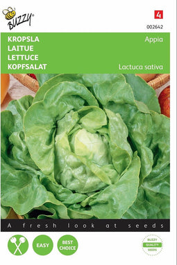 2 stuks - Buzzy - Kropsla Appia