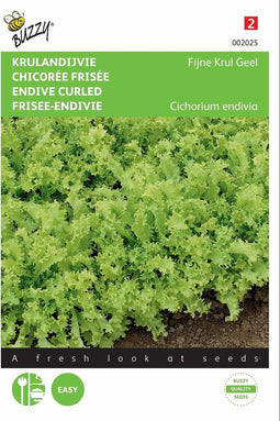 2 stuks - Buzzy - Krulandijvie Fijne Krul Geel Altijd Witte