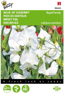 2 stuks - Buzzy - Lathyrus odoratus Royal Family Wit