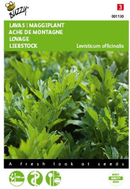 2 stuks - Buzzy - Lavas Maggiplant