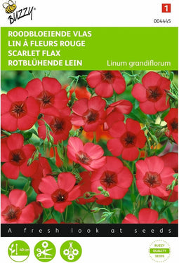 2 stuks - Buzzy - Linum rubrum grandiflorum Rood