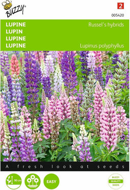 2 stuks - Buzzy - Lupinus polyphyllus Russell s Hybriden Gemengd