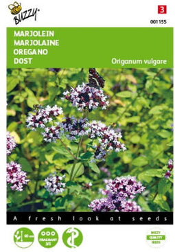 2 stuks - Buzzy - Marjolein Oregano