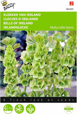 2 stuks - Buzzy - Molucella Groene Bel Achtige Bloemen