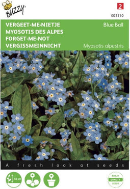 2 stuks - Buzzy - Myosotis alpestris Blauw vergeet me niet