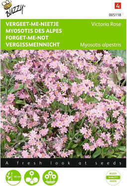 2 stuks - Buzzy - Myosotis alpestris Victoria Rose