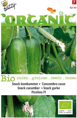 2 stuks - Buzzy - Organic Snackkomkommer Picolino (BIO)