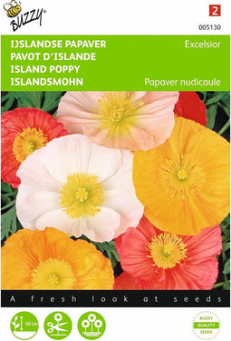 2 stuks - Buzzy - Papaver nudicaule excelsior Gem. IJslandse Papaver