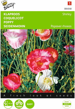 2 stuks - Buzzy - Papaver Rhoeas
