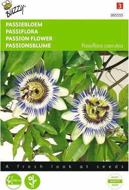 2 stuks - Buzzy - Passiflora coerulea Passiebloem