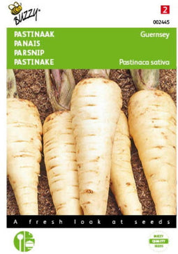2 stuks - Buzzy - Pastinaak Demi Long De Guernsey