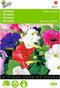 2 stuks - Buzzy - Petunia Hybrida Nana Compacta Gemengd