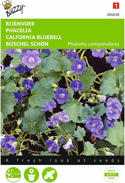 2 stuks - Buzzy - Phacelia campanularia