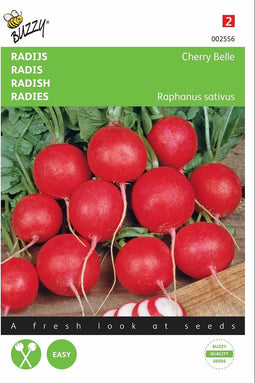 2 stuks - Buzzy - Radijs Cherry Belle