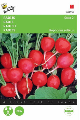 2 stuks - Buzzy - Radijs Saxa 2