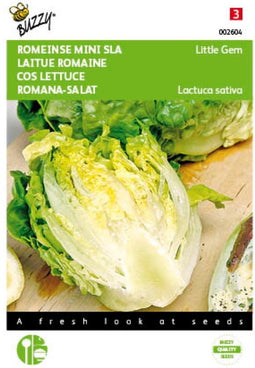 2 stuks - Buzzy - Romeinse Mini Sla Little Gem