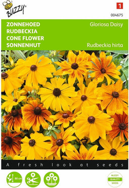 2 stuks - Buzzy - Rudbeckia hirta Gloriosa Daisy Gemengd