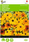 2 stuks - Buzzy - Rudbeckia hirta Gloriosa Daisy Gemengd