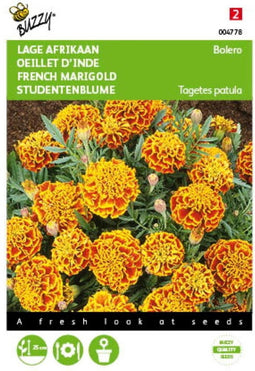 2 stuks - Buzzy - Tagetes patula nana Bolero