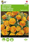 2 stuks - Buzzy - Tagetes patula nana Bolero
