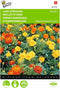 2 stuks - Buzzy - Tagetes patula nana Bonita Dubbelbl. Gemengd