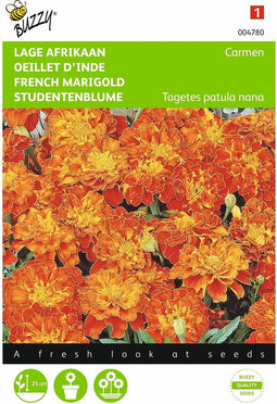 2 stuks - Buzzy - Tagetes patula nana Carmen