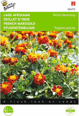 2 stuks - Buzzy - Tagetes patula nana Petite Harmony
