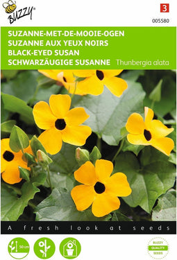 2 stuks - Buzzy - Thunbergia Alata Suzanne met de mooie ogen