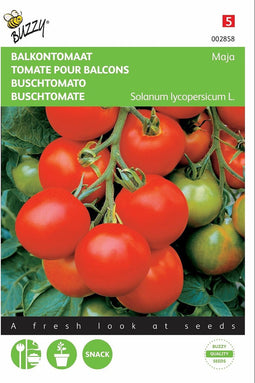 2 stuks - Buzzy - Tomaten Maja Balkontomaat