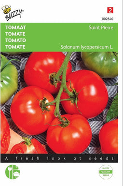 2 stuks - Buzzy - Tomaten St. Pierre Grote Vollegrondse
