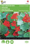 2 stuks - Buzzy - Tropaeolum majus nanum Empress Of India