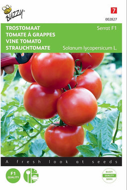 2 stuks - Buzzy - Trostomaten Philippos F1