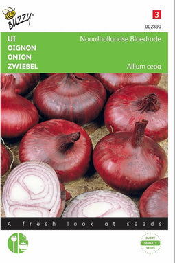 2 stuks - Buzzy - Uien Noordhollandse Bloedrode