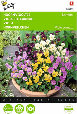 2 stuks - Buzzy - Viola cornuta Bambini Gemengd