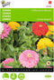 2 stuks - Buzzy - Zinnia elegans Californische Reuzen Gemengd