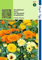 2 stuks Calendula Officinalis Fiesta Gitana Gemengd