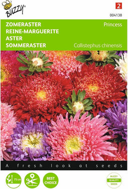 2 stuks Callistephus, Zomeraster Prinses gemengd