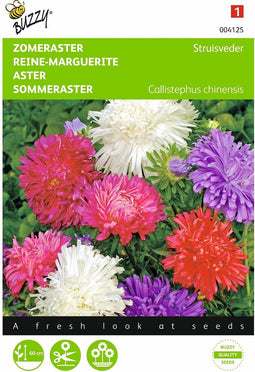 2 stuks Callistephus, Zomeraster Struisveder gemengd