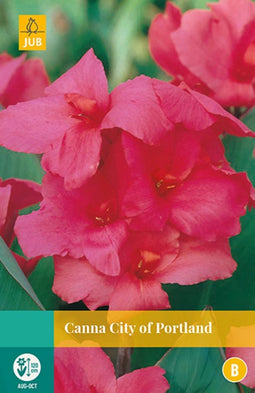 2 stuks Canna City Of Portland 1 bol