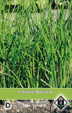 2 stuks Chinese Bieslook Allium tub.Van Hemert & Co
