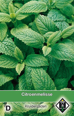 2 stuks Citroenmelisse MelissaVan Hemert & Co