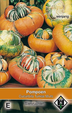 2 stuks Cucurbita maxima Turkse Muts