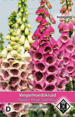 2 stuks Digitalis purpurea Regal SplendourVan Hemert & Co