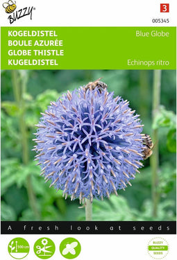 2 stuks Echinops, Kogeldistel Blue Globe