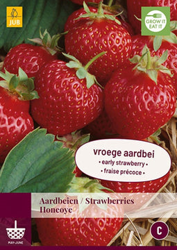 2 stuks Fragaria Honeoye 3 bollen