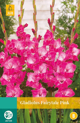 2 stuks Gladiolus Fairytale Pink 5 bollen