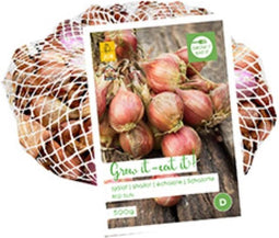 2 stuks Gr. Sjalotten Red Sun 500Gr