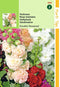 2 stuks Hortitops Althaea Rosea Fl.Pl. Chater S Gemengd