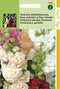 2 stuks Hortitops Althaea Rosea Fl.Pl. Chater S Gemengd